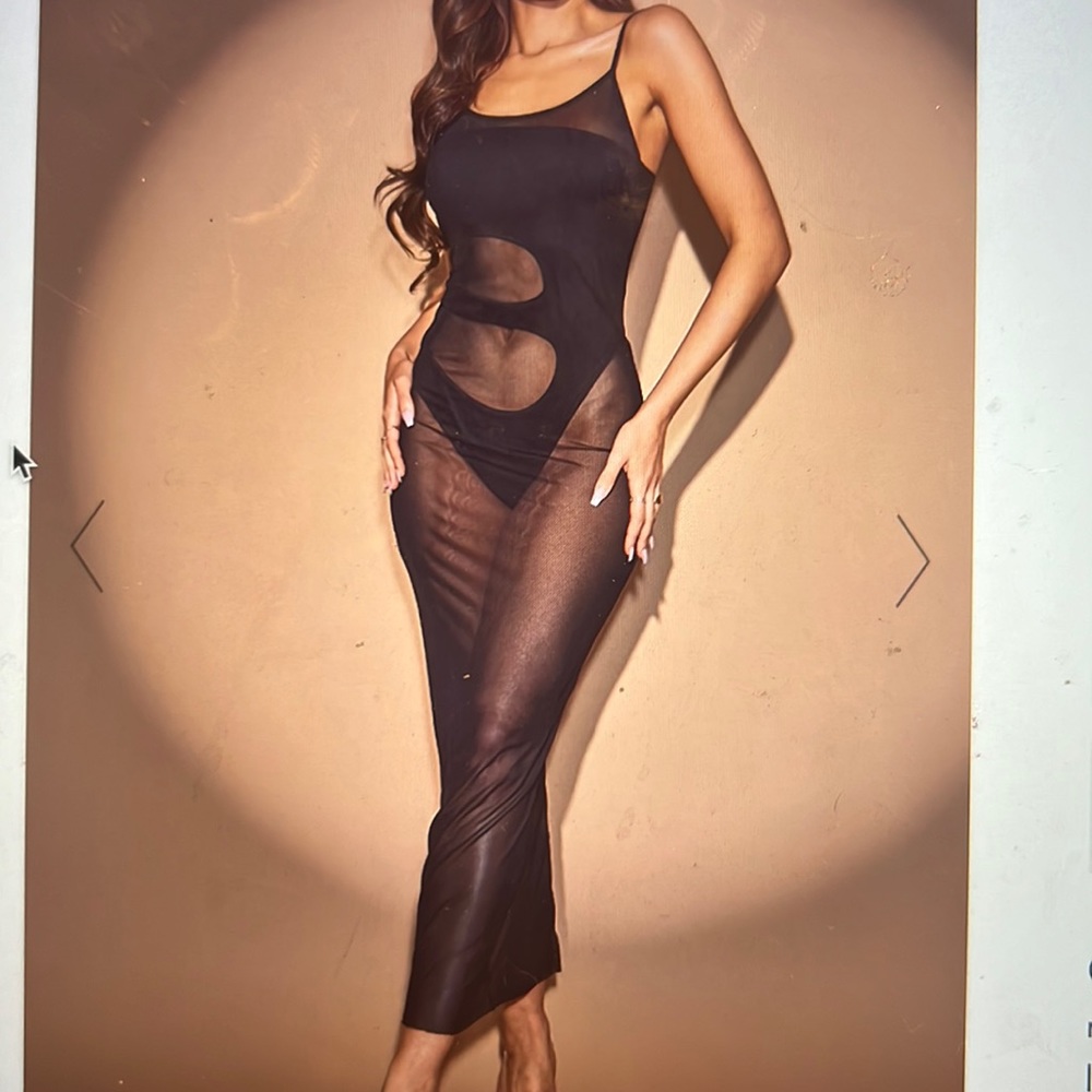Mesh PLT maxi dress